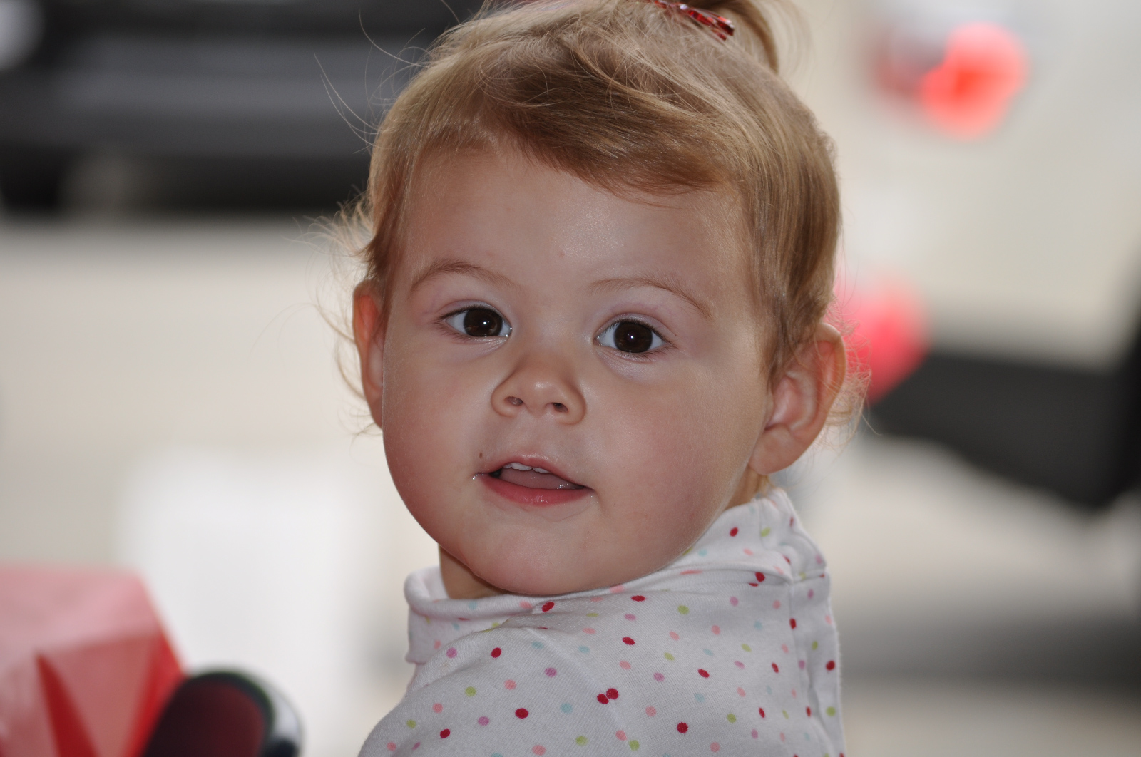 DSC_0008